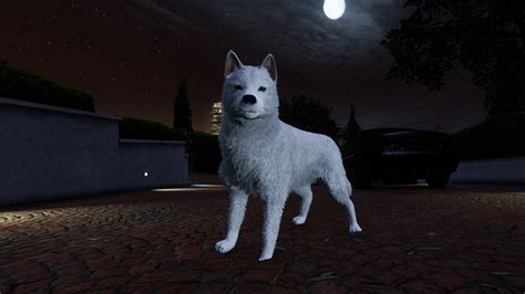 New Dogs - Archive - GTA World Forums - GTA V Heavy Roleplay Server