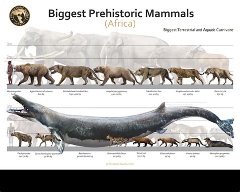 Biggest Prehistoric Mammals of Africa (Carnivore) by Rom-u on DeviantArt