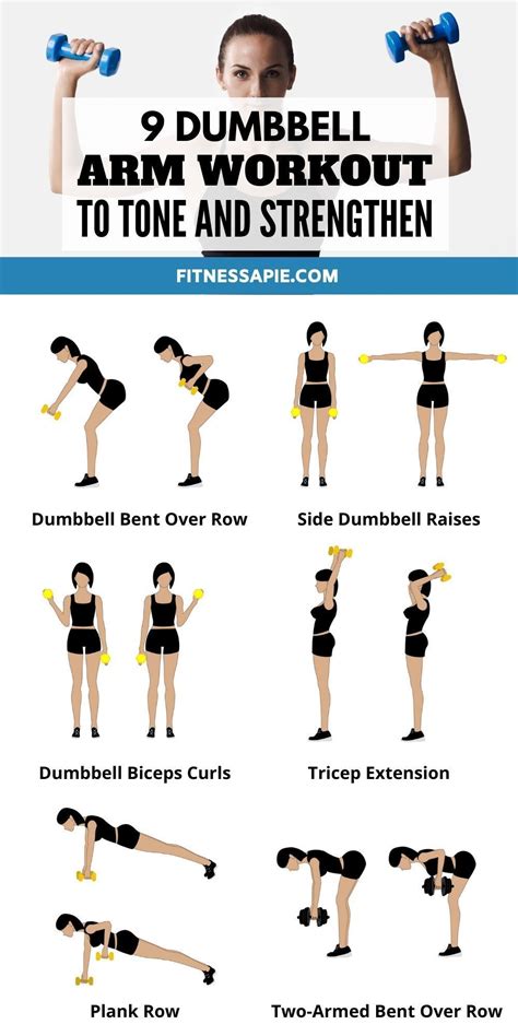 Buy Laminated Dumbbell Exercise Poster/Chart Shoulders And Arms Created ...