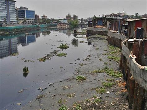 Mithi River Relief: BMC Invests Rs 30 Crore to Divert Vihar Lake ...