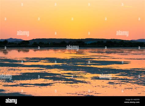 Sunset on the pond of pink flamingos in Chia, Sardinia, Italy Stock ...