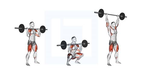 Barbell Thruster - Guide, Benefits, and Form