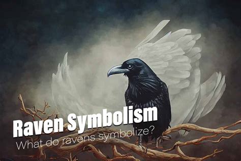 Raven Symbolism - What Do Ravens Symbolize?