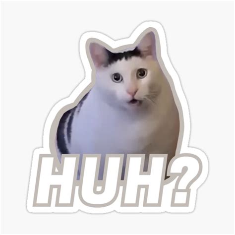 "Huh cat meme | Huh?" Sticker for Sale by ins1ck | Redbubble