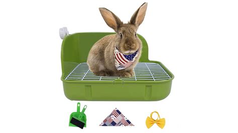 Best rabbit litter box: Keep your pet and your home clean | PetsRadar