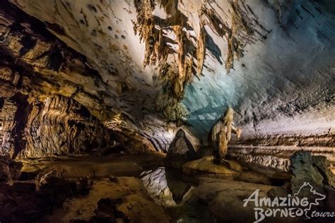 Borneo, Mulu, Gomantong, Batu Tulug, Caves, Birds Nest Soup, Bats ...