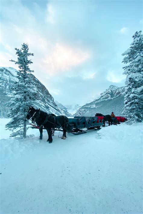 Top 10 Winter Activities in Banff National Park | National parks, Banff ...