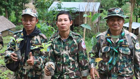 Painting the Salween River basin with Trees