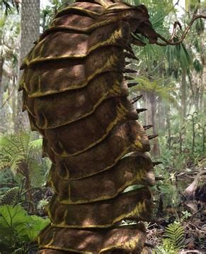 Arthropleura | Prehistoric Park Wiki | Fandom