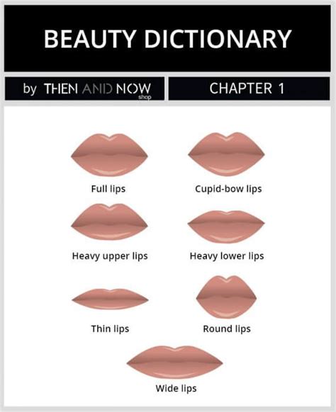 Types of Lip Shapes | Types of lips shape, Cupids bow lips, Lip shapes