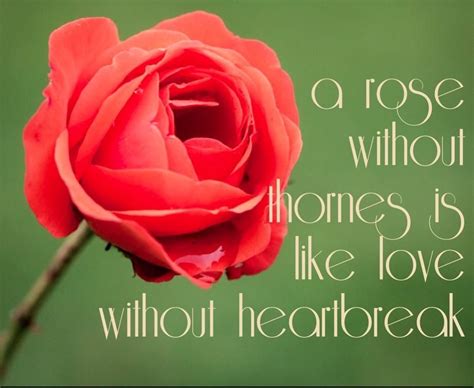 50 Best Rose Quotes To Show Your Love – The WoW Style