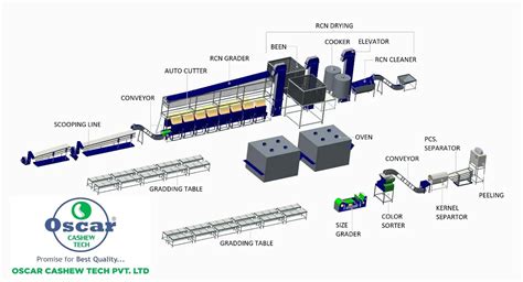 Raw Cashew Processing Machine Manufacturers from Ahmedabad