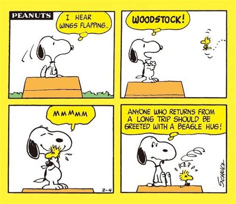 Snoopy & Woodstock | Snoopy funny, Snoopy cartoon, Snoopy love