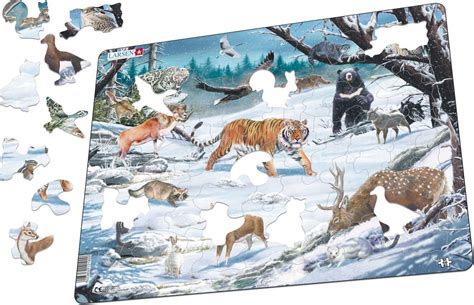 FH34 - Winter Wildlife in Siberia and Northeast Asia :: Animals ...