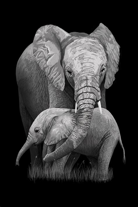 Mother And Baby Elephant - Captions Trendy