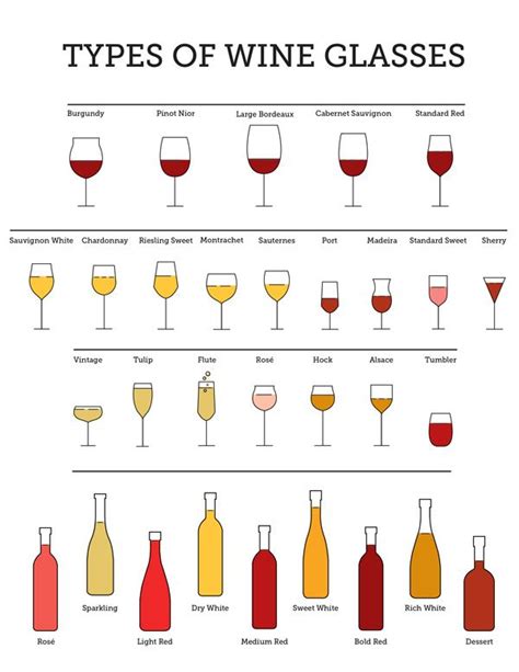 Types of Wine Glasses | Types of wine glasses, Different types of wine ...