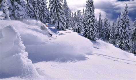 Cat-Skiing Trips | Custom Cat Ski and Snowboard Vacations | Ski.com