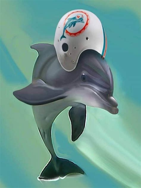 FINS UP! : r/miamidolphins