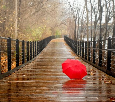 Rainy Day Desktop Wallpapers - Top Free Rainy Day Desktop Backgrounds ...