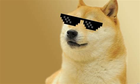 Doge Meme Wallpapers - Top Free Doge Meme Backgrounds - WallpaperAccess