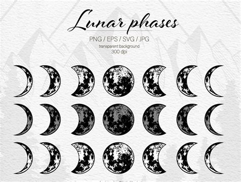 Lunar phases svg Moon phases svg Crescent Moon svg Moon child by ...