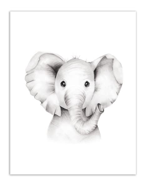 Top 81+ baby elephant sketch images super hot - in.eteachers