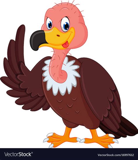 Vulture cartoon Royalty Free Vector Image - VectorStock