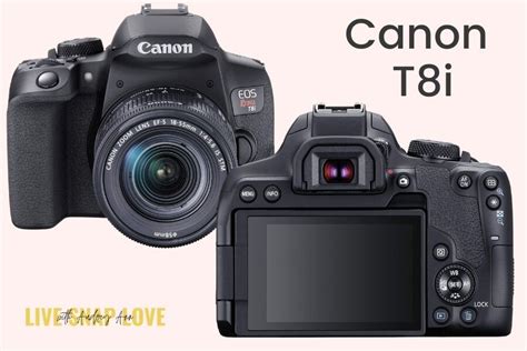 Best Camera for Photography Beginners!