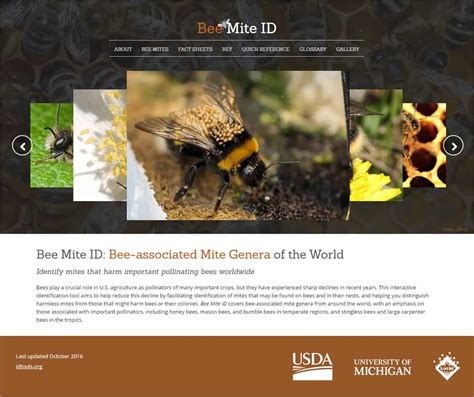 New Web-based Tool for Fast Identification of Bee Mites – Bee Informed ...