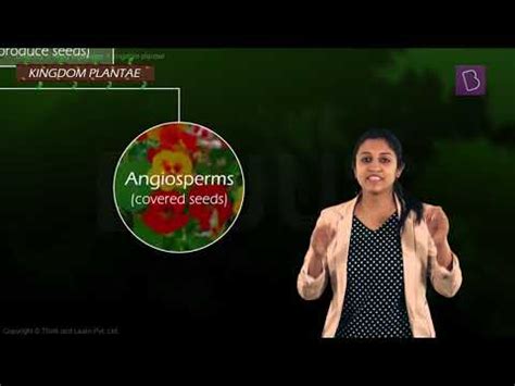 Difference Between Angiosperms and Gymnosperms with Some Examples