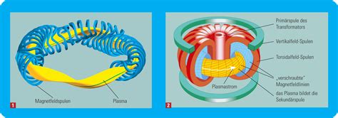 Stellarator Vs Tokamak