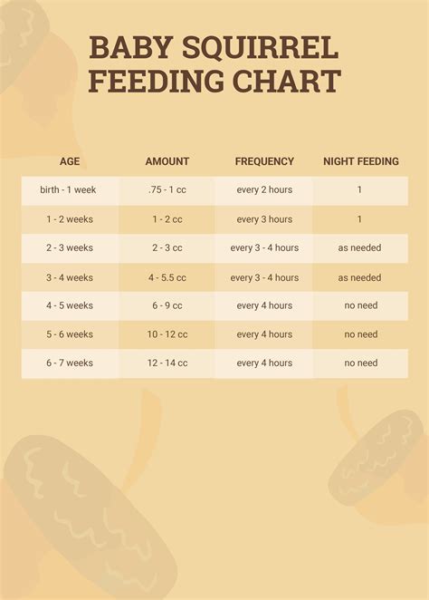 Baby Squirrel Feeding Chart in Illustrator, PDF - Download | Template.net