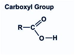 Carboxyl Group - Formula, Structure, Properties & Sources | Chemistry