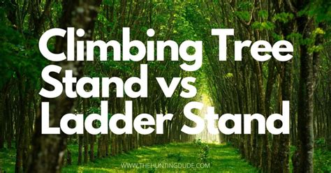 Climbing Tree Stand vs Ladder Stand - Which One Should You Choose ...