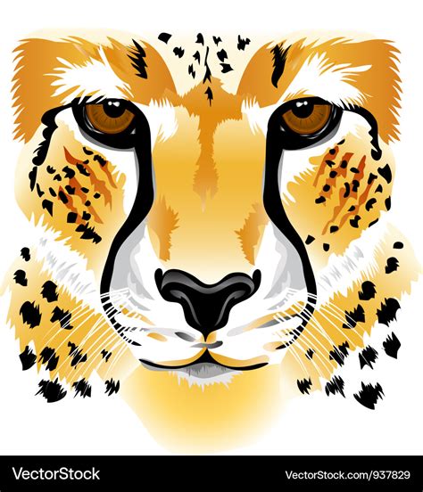 Cheetah face Royalty Free Vector Image - VectorStock