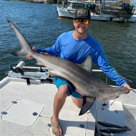 Shark Fishing Charter | Crystal River, Florida