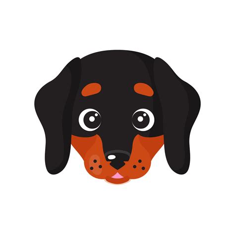 Vector cartoon dog face of Dachshund breed. 4372095 Vector Art at Vecteezy