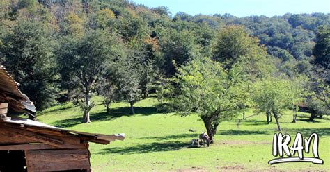 Iran’s Hyrcanian Forest named UNESCO World Heritage site - Iran Tourism ...