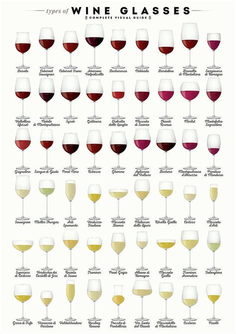 Types of Wine Glasses by Zapista OU | Итальянское вино, Дегустация вин ...