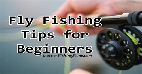 Fly Fishing Tips for Beginners to Catch the Big Fish