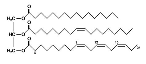 biochemistry - Wikidata