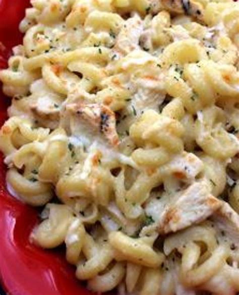 Four Cheese Chicken Pasta Bake – Recipes 2 Day