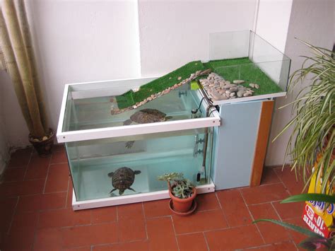 Bored Turtle | Tortoise Forum Aquatic Turtle Tank, Turtle Aquarium ...