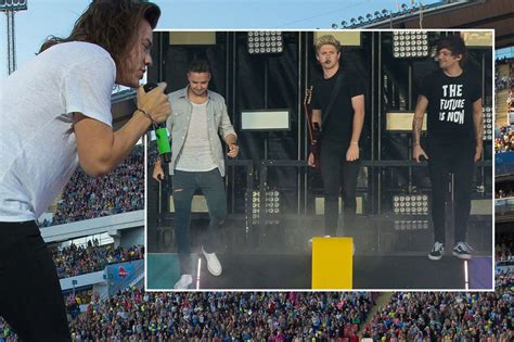 One Direction performing live on stage at Ullevi in Gothenburg - Irish ...