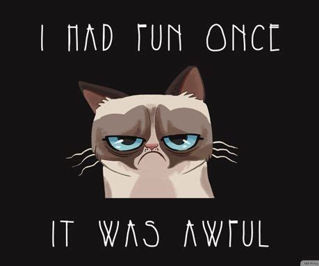 Grumpy Cat | Grumpy cat quotes, Funny wallpapers, Grumpy cat