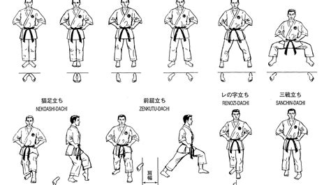 Basic Karate Stances - Karate Choices