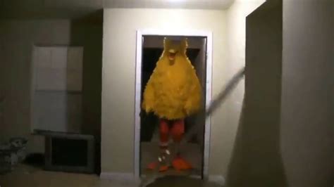 Big Bird Meme Door