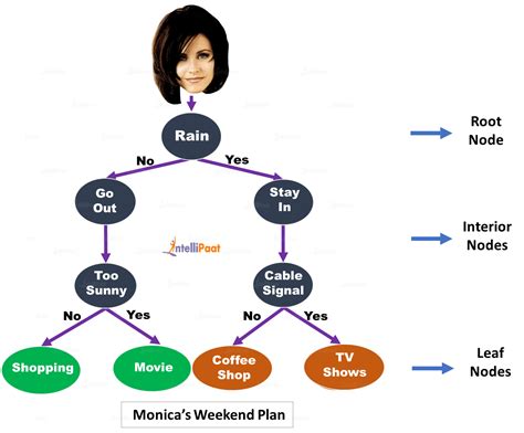 Decision Tree Machine Learning Algorithm