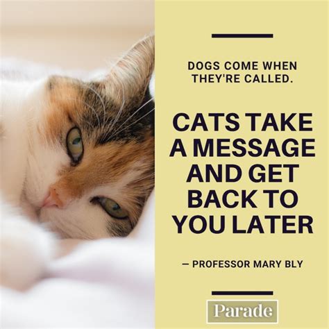 60 Cat Quotes — Best Quotes About Cats - Parade Pets