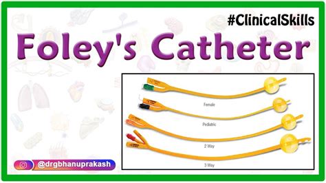 Urinary Catheter Types And Sizes And How To Choose, 49% OFF, 48% OFF